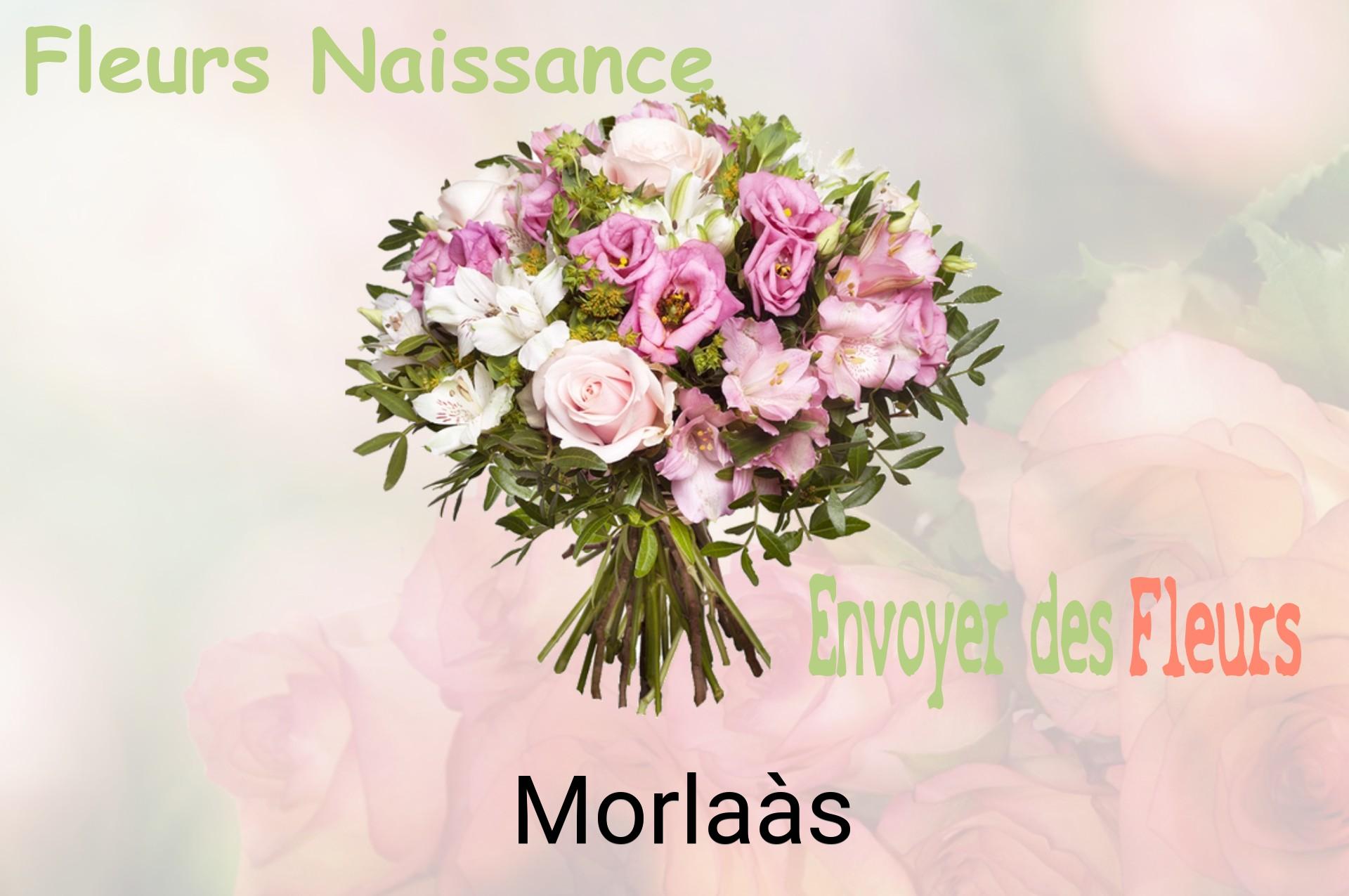 Bouquet de fleurs de naissance livré à Morlaàs